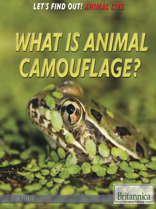 Title details for What Is Animal Camouflage? by Tracey Baptiste - Available